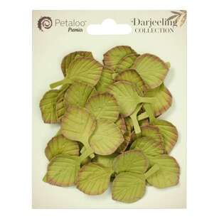 PETALOO FOLIAGE/LEAVES 40 PCE DARK GREEN