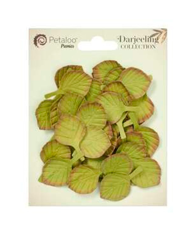PETALOO FOLIAGE/LEAVES 40 PCE DARK GREEN