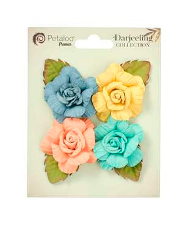 PETALOO RAYNA 4 PCE YELLOW/BLUE
