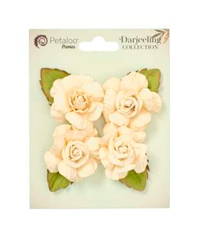 PETALOO RAYNA 4 PCE CREAM
