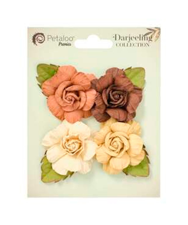 PETALOO RAYNA 4 PCE BROWN